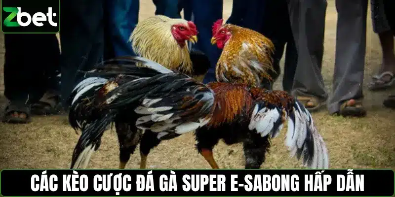 Các kèo cược đá gà Super E-Sabong hấp dẫn
