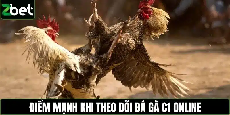 Điểm mạnh khi theo dõi đá gà C1 online
