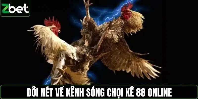 Đôi nét về kênh sóng chọi kê 88 online
