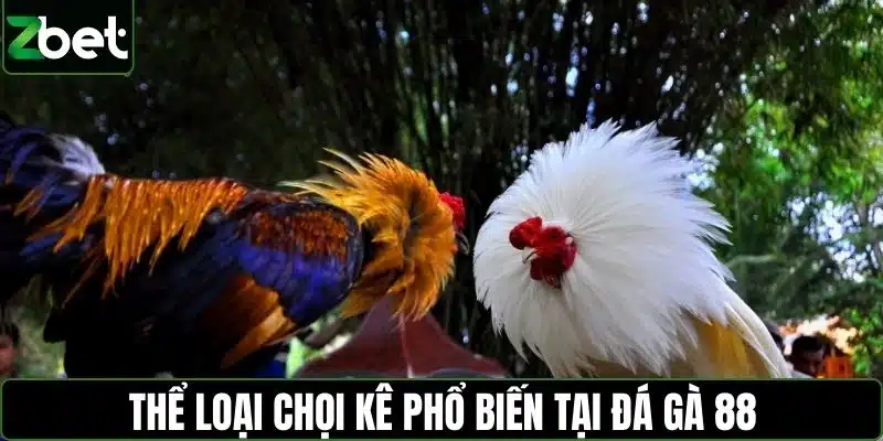 Thể loại chọi kê phổ biến tại đá gà 88