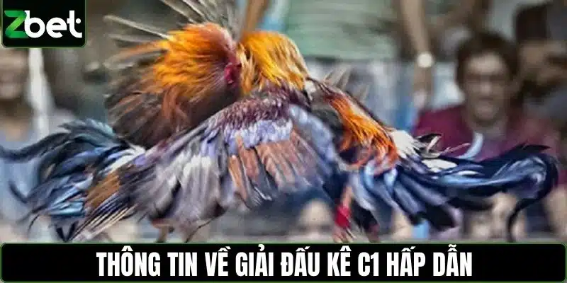 Thông tin về giải đấu kê C1 hấp dẫn