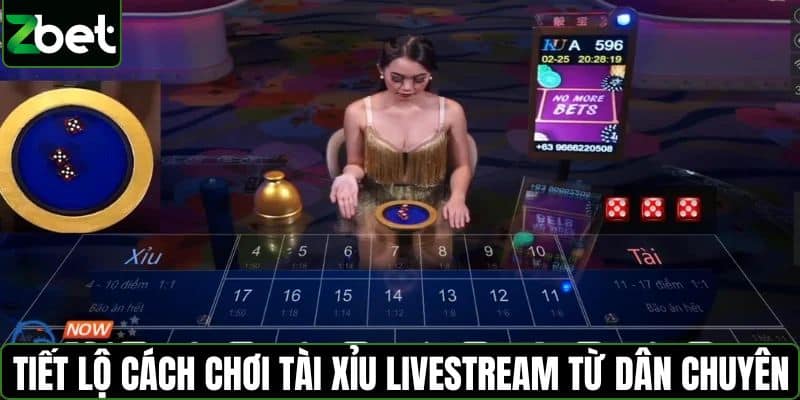 Tiết lộ cách chơi tài xỉu livestream từ dân chuyên nghiệp