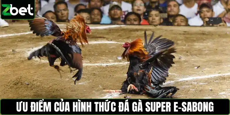 Ưu điểm của hình thức đá gà Super E-Sabong
