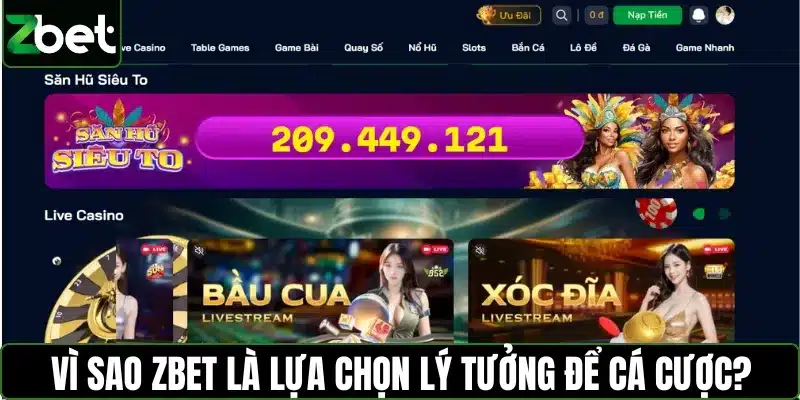 Vì sao ZBET là lựa chọn lý tưởng để cá cược và săn thưởng lớn?