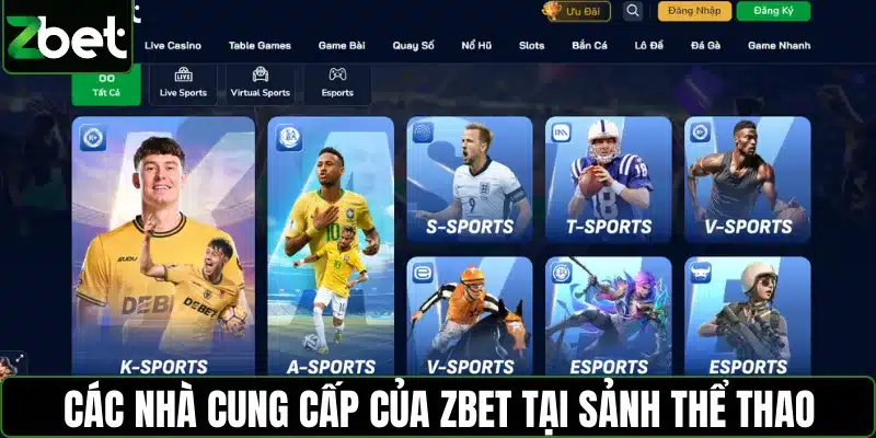 Các nhà cung cấp của ZBET tại sảnh thể thao