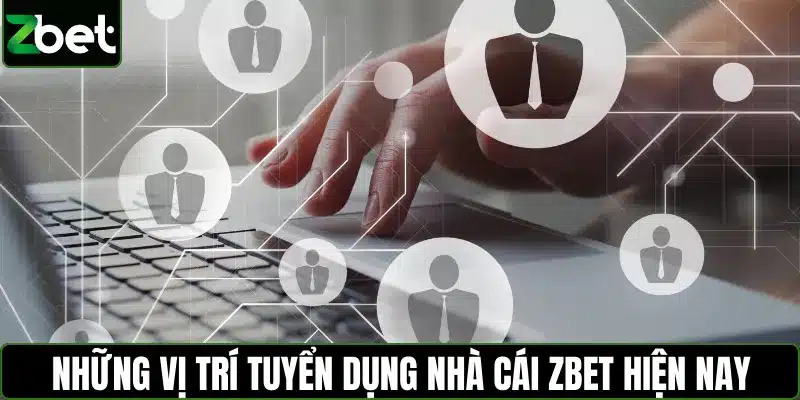 Những vị trí tuyển dụng nhà cái ZBET hiện nay